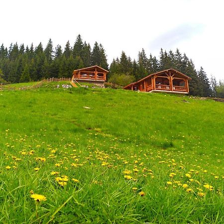 Къщи За Гости Под Звездите Pamporowo Exterior foto