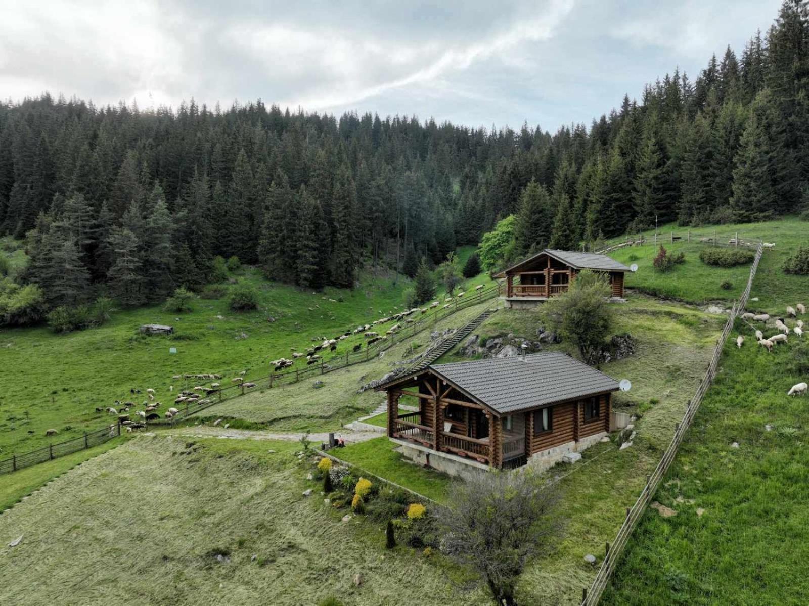 Къщи За Гости Под Звездите Pamporowo Exterior foto